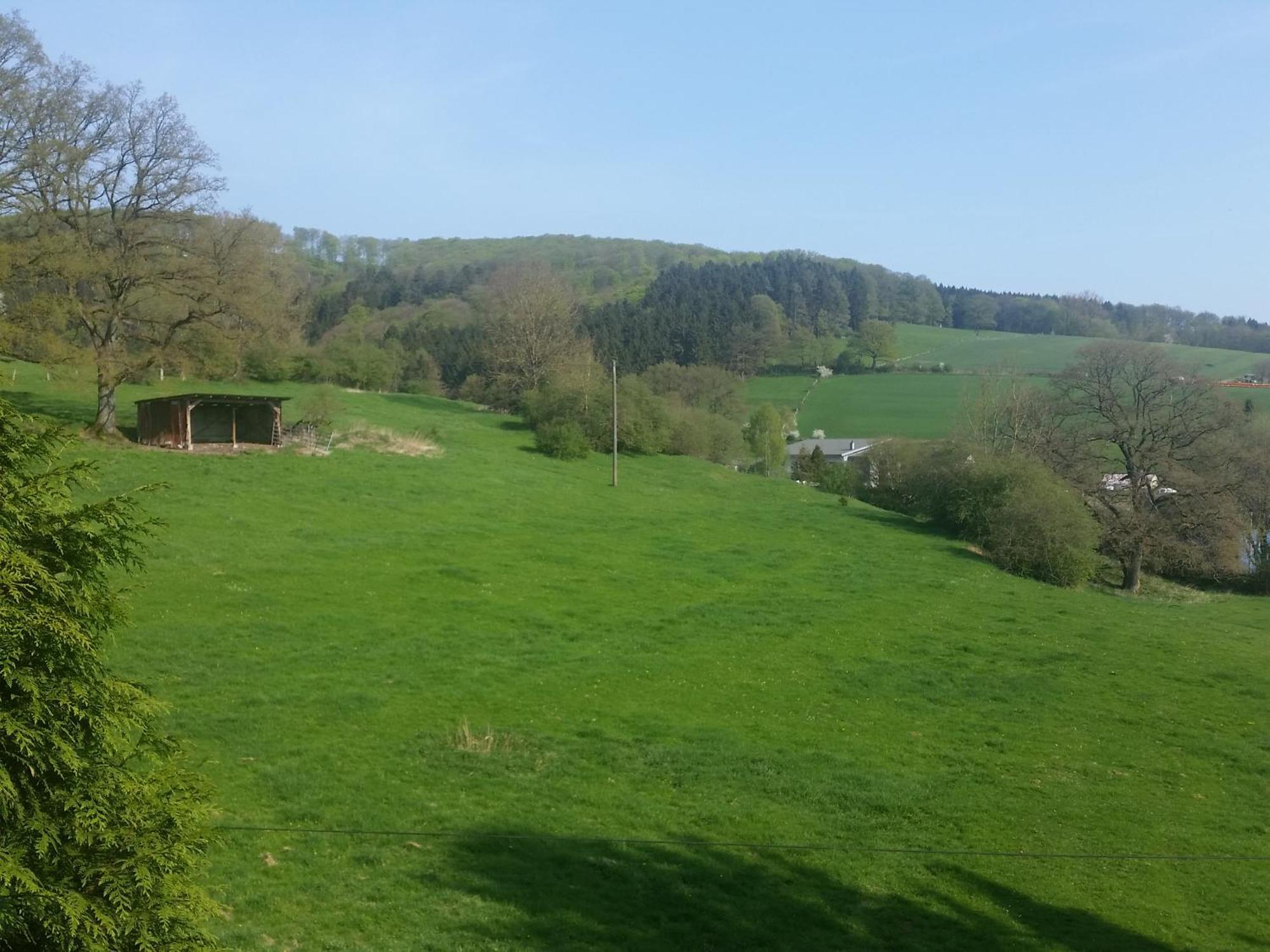 Fewo Am Wald Balve Ruang foto